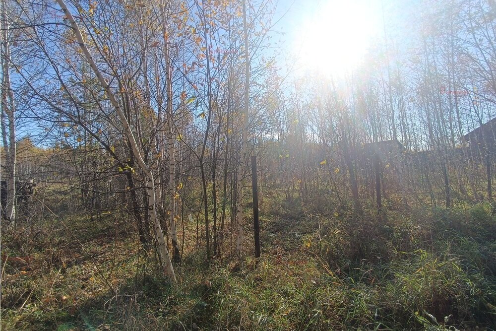 п. Белоярская Застава, ул. Белоярская, 27 (городской округ Белоярский) - фото земельного участка (5)