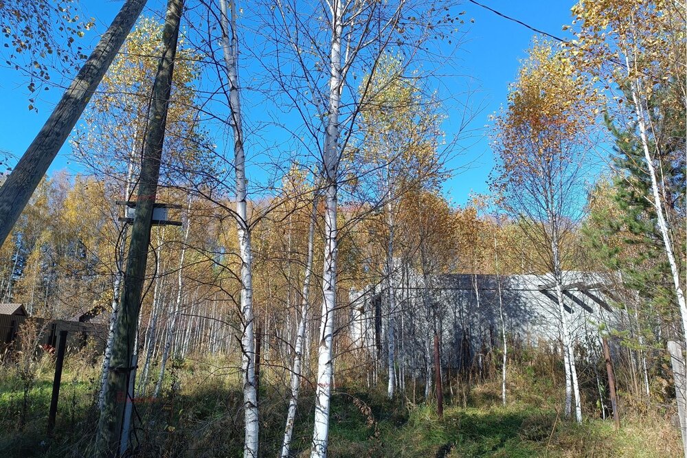 п. Белоярская Застава, ул. Белоярская, 27 (городской округ Белоярский) - фото земельного участка (6)