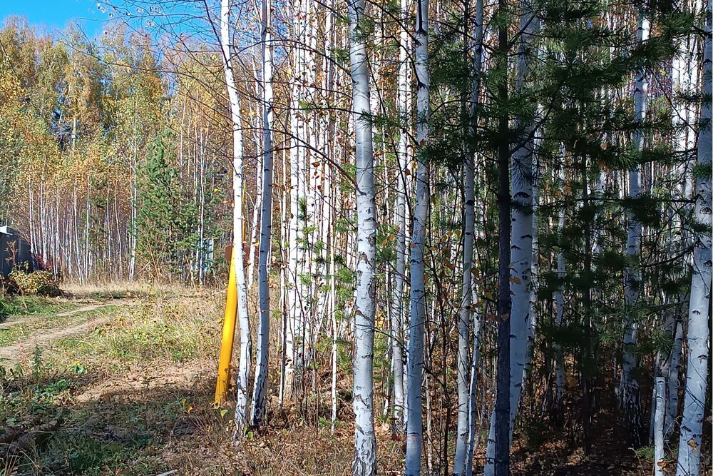 п. Белоярская Застава, ул. Белоярская, 27 (городской округ Белоярский) - фото земельного участка (8)