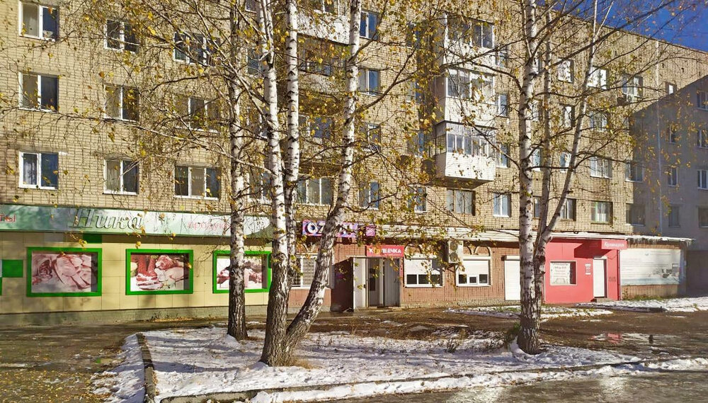 Екатеринбург, ул. Чапаева, 26 (городской округ Невьянский) - фото торговой площади (2)