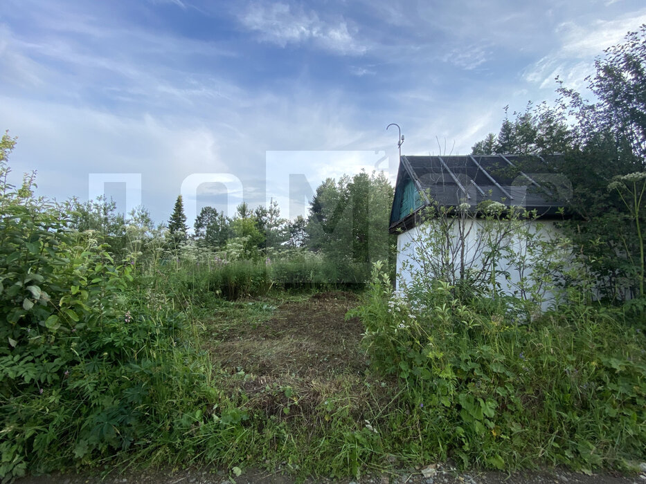 поселок городского типа Верхние Серги, Коллективный сад №1 