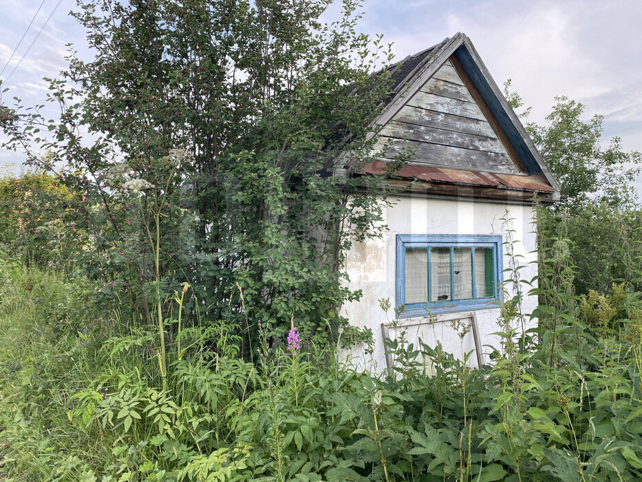 поселок городского типа Верхние Серги, Коллективный сад №1 