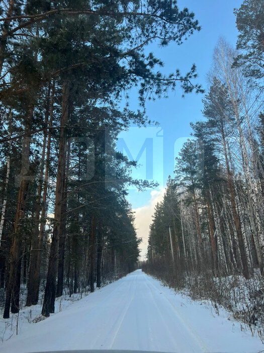 пгт. Верхнее Дуброво, коллективный сад Метеоролог, уч. 3 (городской округ Верхнее Дуброво) - фото сада (1)