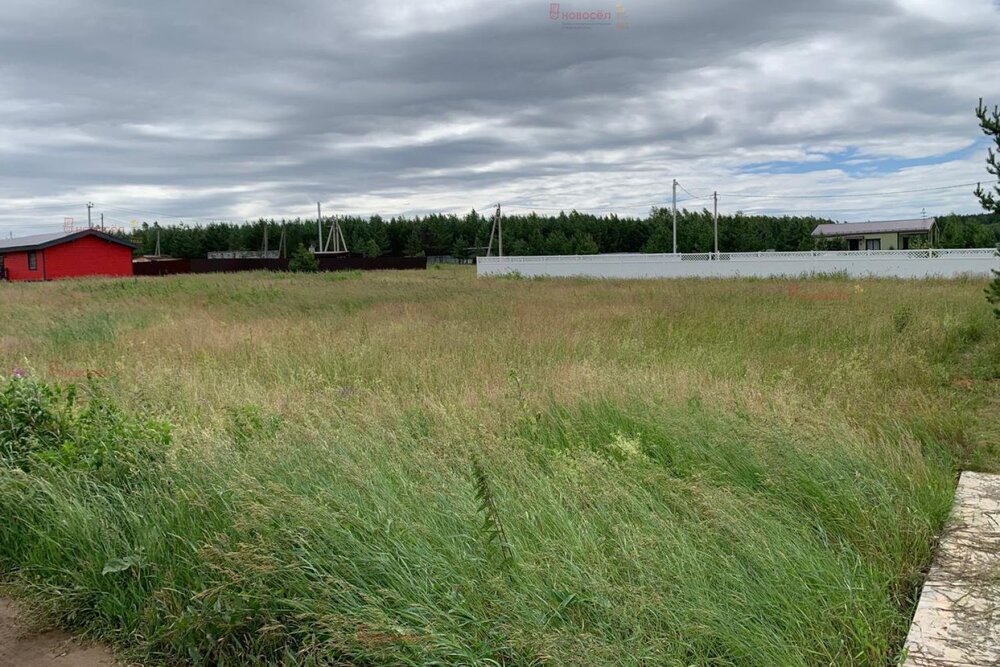 с. Щелкун, ул. ДП Разгуляй, 95 (городской округ Сысертский) - фото земельного участка (6)