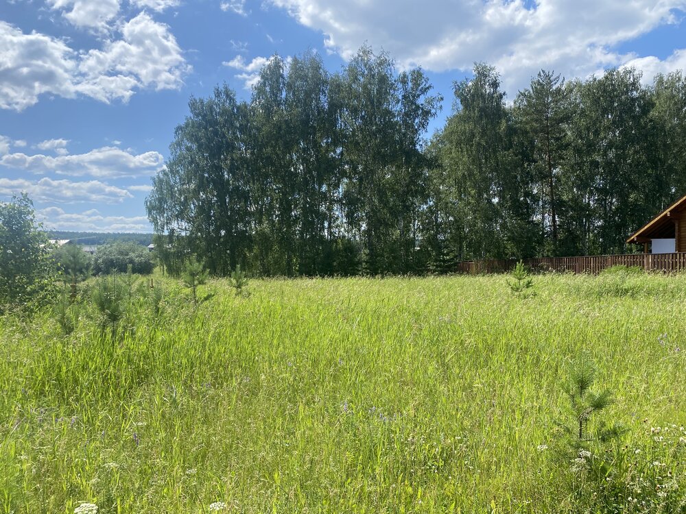 с. Черданцево, ул. Брусничная, 18 (городской округ Сысертский) - фото земельного участка (5)