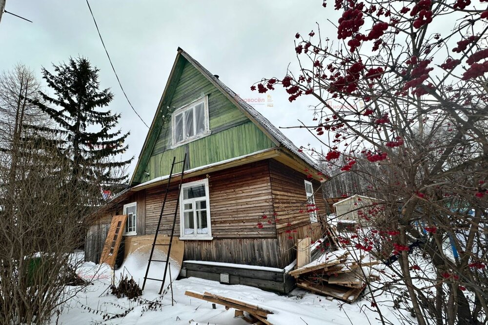 п. Кедровка, ОРГРЭС № 58 (городской округ Березовский) - фото сада (2)