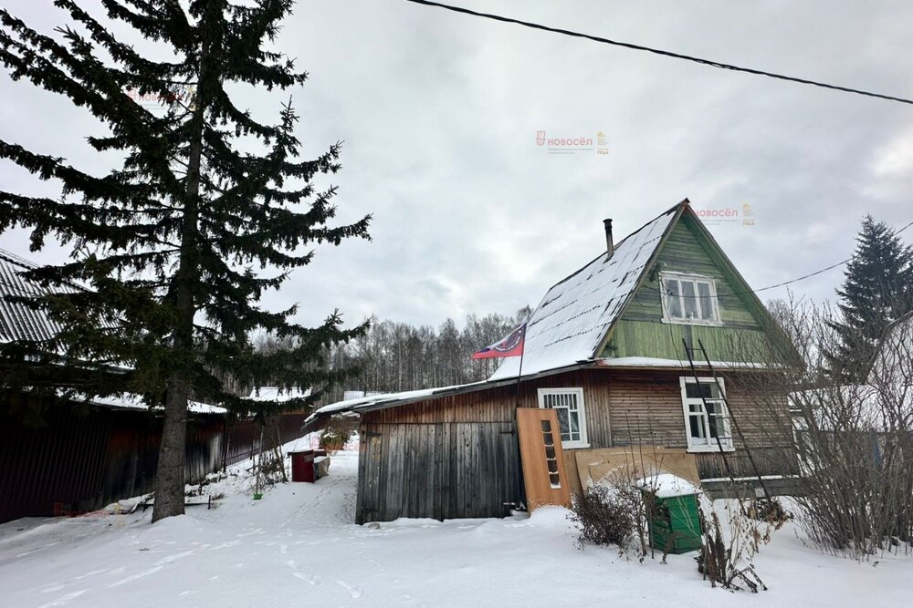 п. Кедровка, ОРГРЭС № 58 (городской округ Березовский) - фото сада (3)