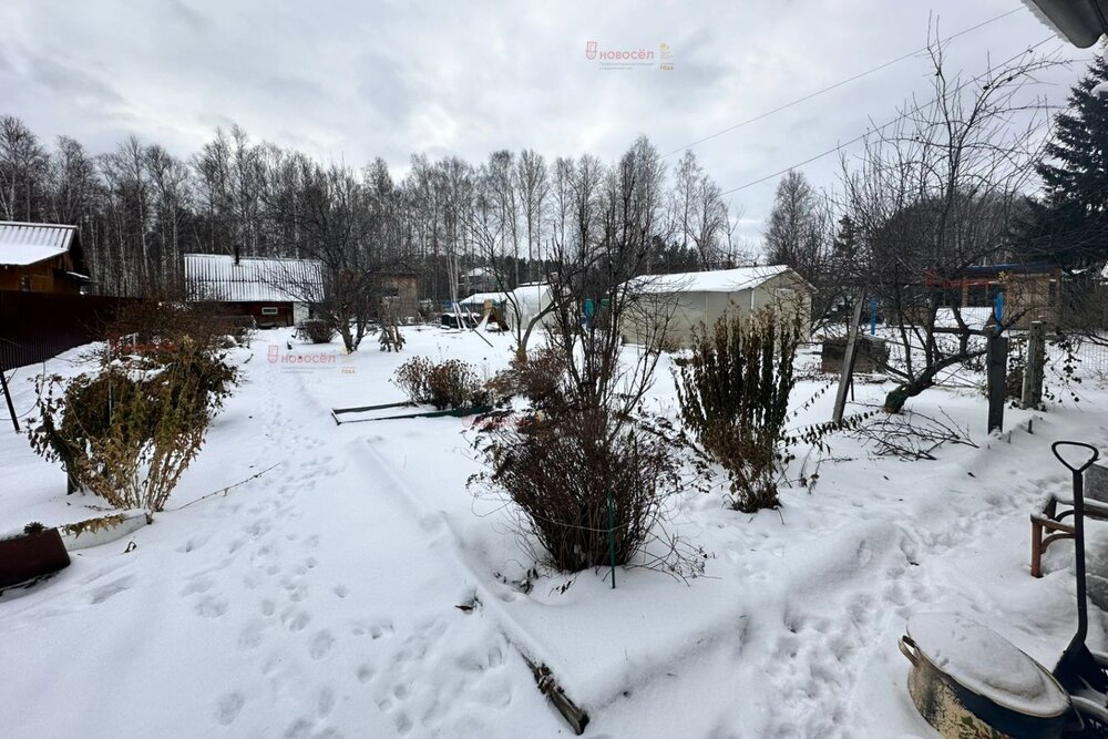 п. Кедровка, ОРГРЭС № 58 (городской округ Березовский) - фото сада (6)