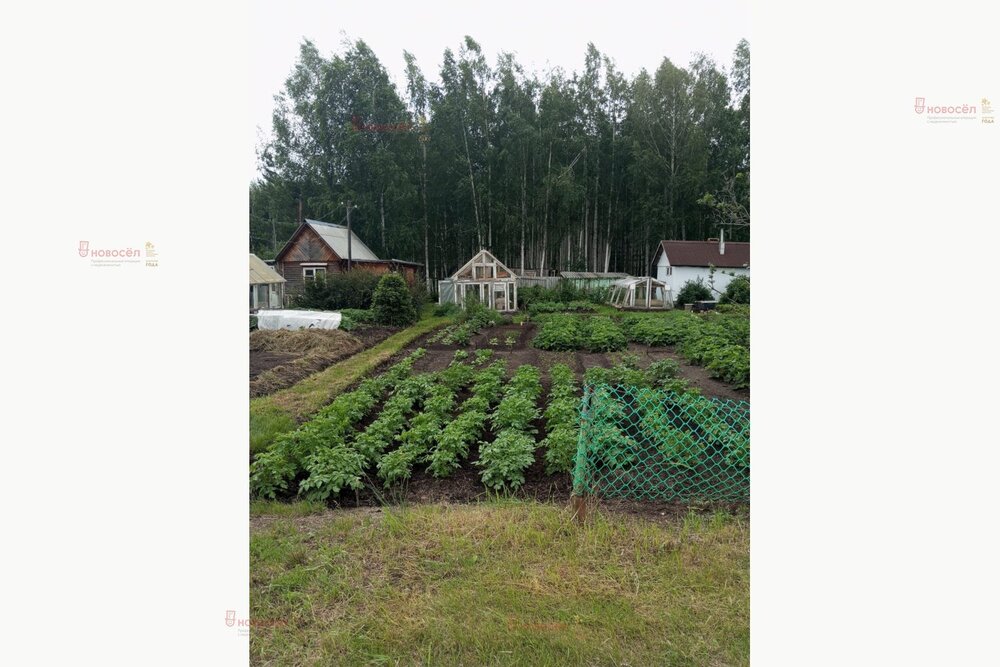 д. Большое Седельниково, С/т Металлург (городской округ Сысертский) - фото сада (2)