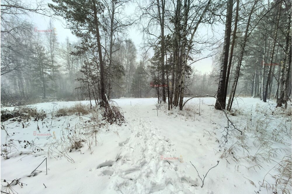 с. Курганово, ул. Нагорная, 25 (городской округ Полевской) - фото земельного участка (3)