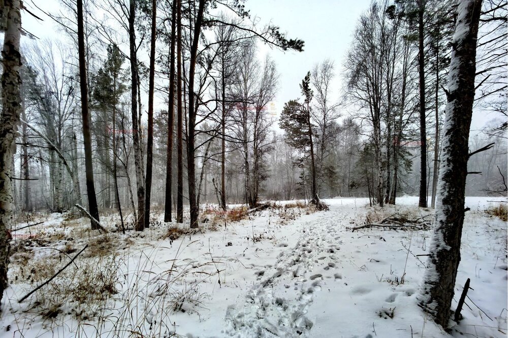 с. Курганово, ул. Нагорная, 25 (городской округ Полевской) - фото земельного участка (4)