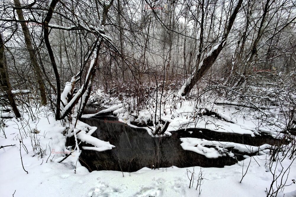 с. Курганово, ул. Нагорная, 25 (городской округ Полевской) - фото земельного участка (5)