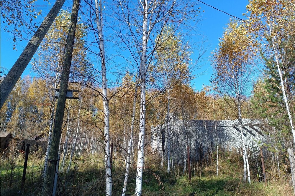 п. Белоярская Застава, ул. Белоярская, 27-29 (городской округ Белоярский) - фото земельного участка (4)