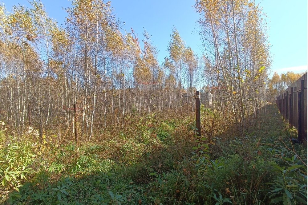 п. Белоярская Застава, ул. Белоярская, 27-29 (городской округ Белоярский) - фото земельного участка (7)