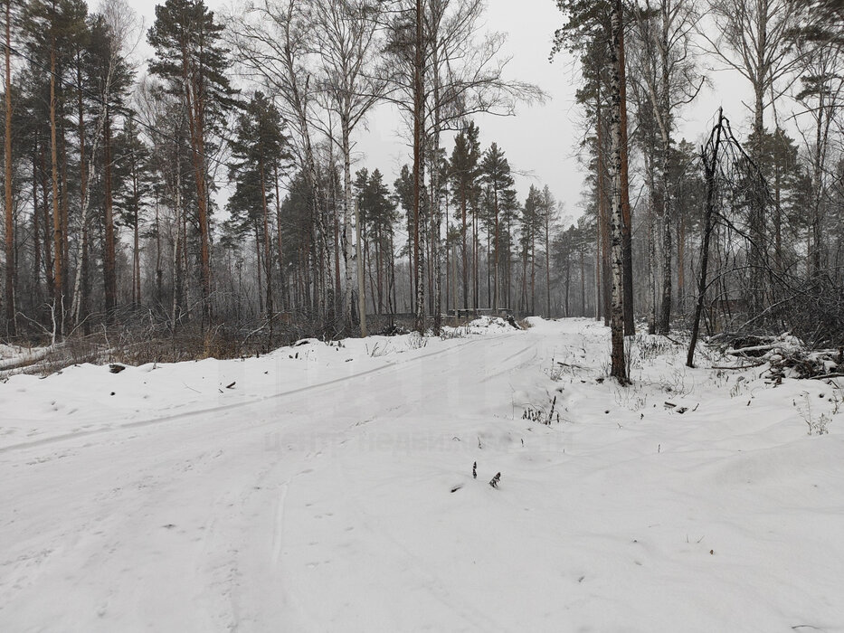 с. Курганово, ул. поселок Кургановский (городской округ Полевской) - фото земельного участка (1)