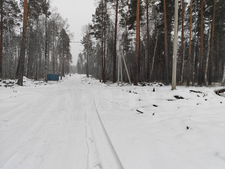 с. Курганово, ул. поселок Кургановский (городской округ Полевской) - фото земельного участка (2)