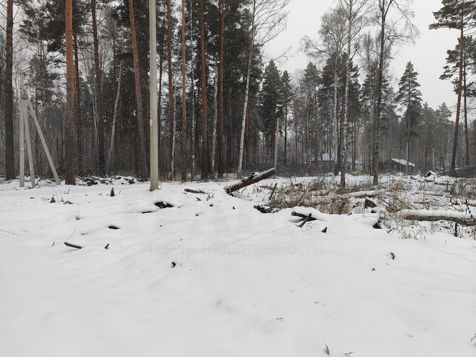 с. Курганово, ул. поселок Кургановский (городской округ Полевской) - фото земельного участка (4)