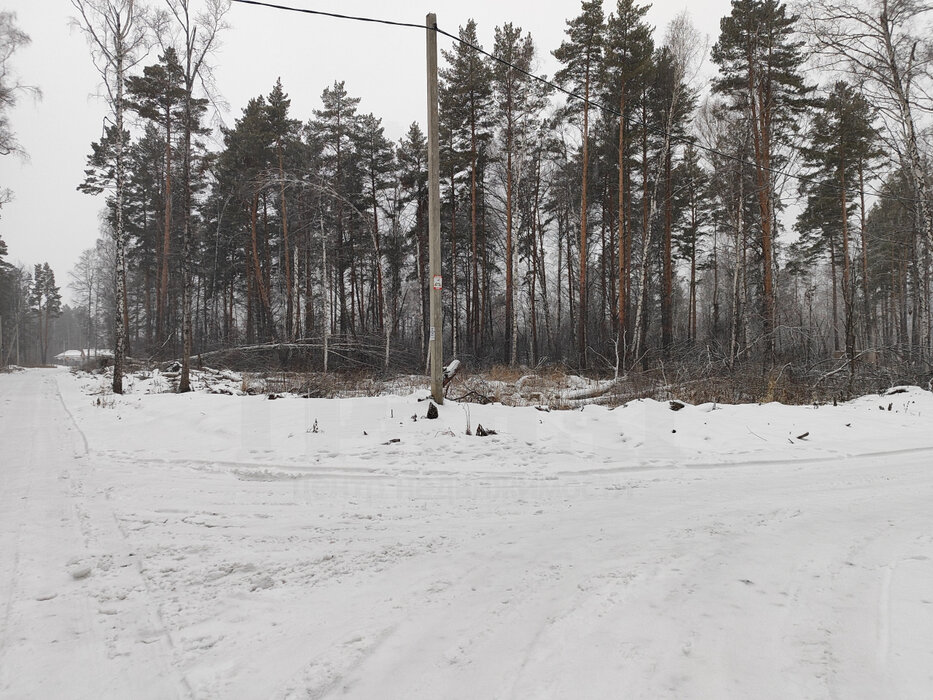 с. Курганово, ул. поселок Кургановский (городской округ Полевской) - фото земельного участка (5)