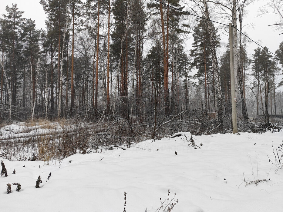 с. Курганово, ул. поселок Кургановский (городской округ Полевской) - фото земельного участка (6)