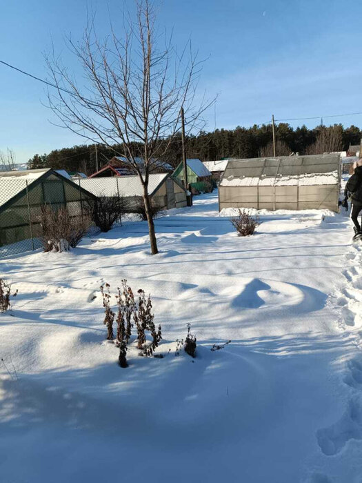 г. Первоуральск, СНТ № 21 (городской округ Первоуральск) - фото сада (1)