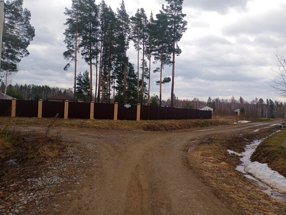 ДПК Созвездие Премиум (городской округ Екатеринбург) - фото земельного участка (4)