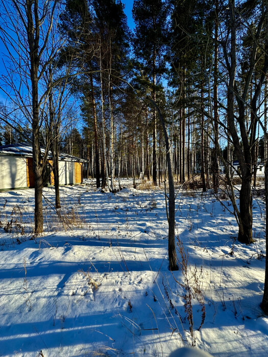 с. Курганово, ул. Еловая, 4. (городской округ Полевской) - фото земельного участка (1)