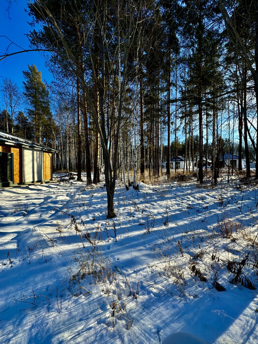 с. Курганово, ул. Еловая, 4. (городской округ Полевской) - фото земельного участка (2)