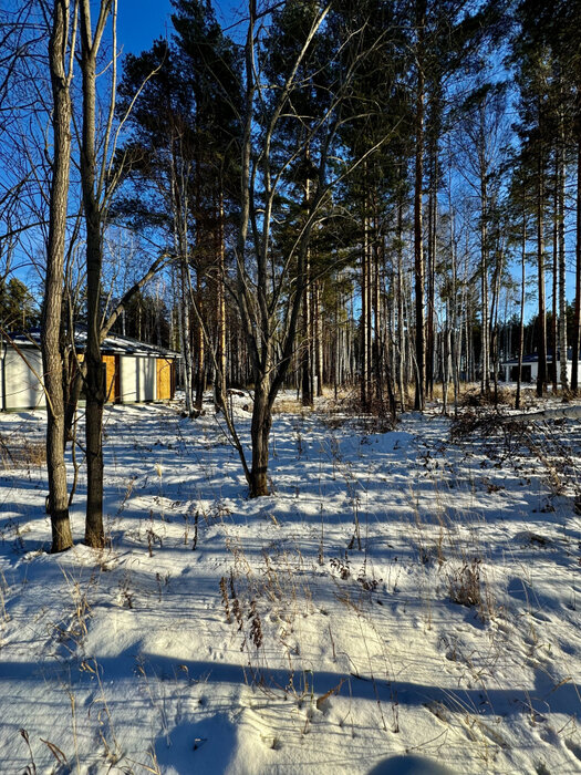 с. Курганово, ул. Еловая, 4. (городской округ Полевской) - фото земельного участка (3)