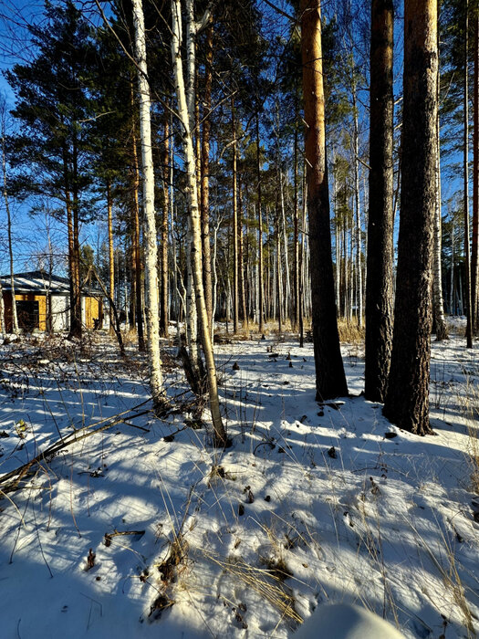 с. Курганово, ул. Еловая, 4. (городской округ Полевской) - фото земельного участка (4)