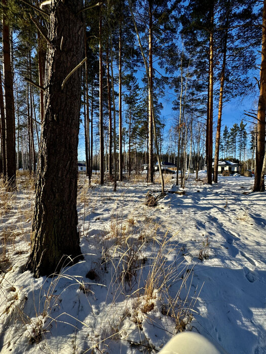 с. Курганово, ул. Еловая, 4. (городской округ Полевской) - фото земельного участка (5)