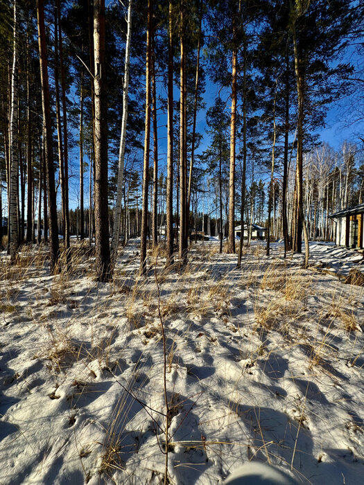 с. Курганово, ул. Еловая, 4. (городской округ Полевской) - фото земельного участка (6)