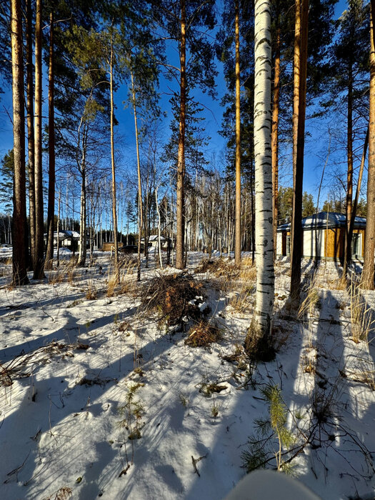 с. Курганово, ул. Еловая, 4. (городской округ Полевской) - фото земельного участка (7)