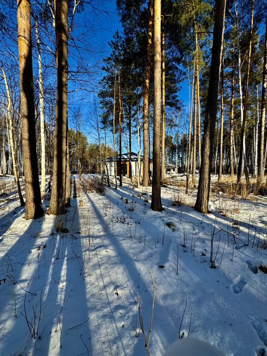 с. Курганово, ул. Еловая, 4. (городской округ Полевской) - фото земельного участка (8)