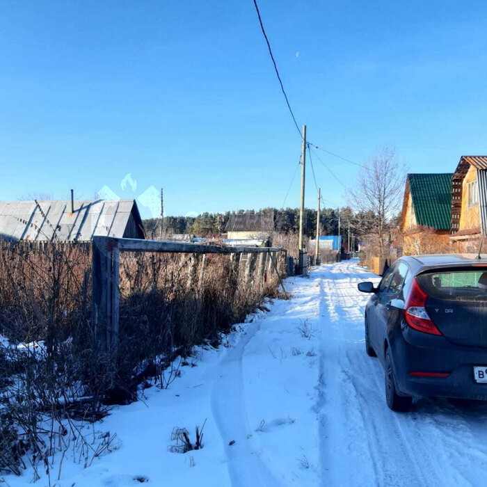 с. Кашино, к/с Колос (городской округ Сысертский) - фото сада (1)