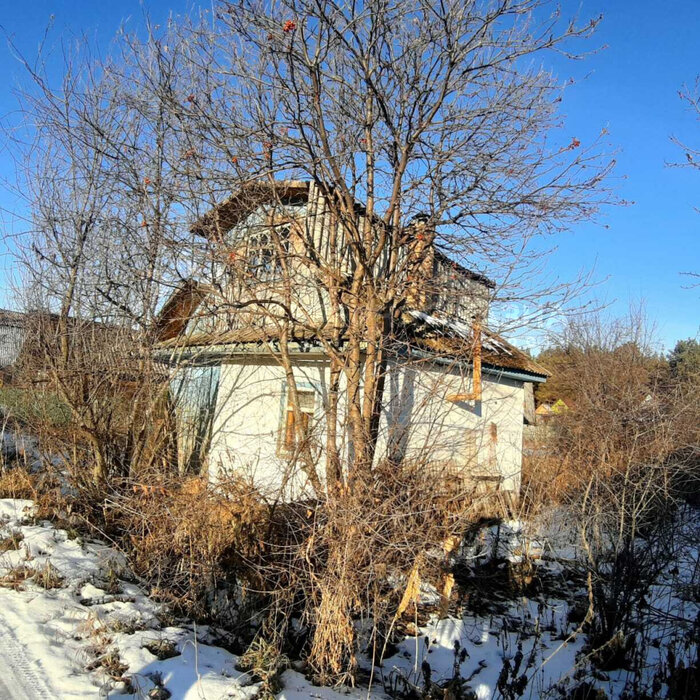 с. Кашино, к/с Колос (городской округ Сысертский) - фото сада (2)