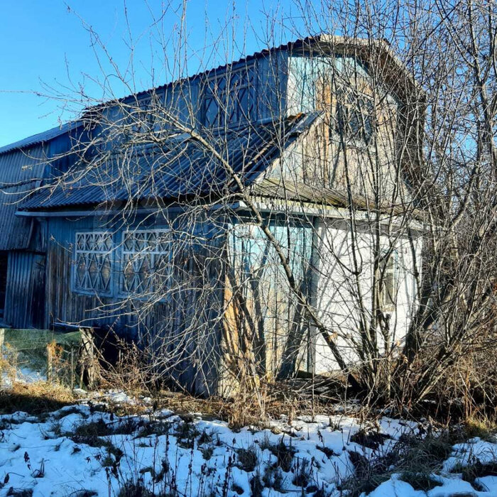 с. Кашино, к/с Колос (городской округ Сысертский) - фото сада (4)