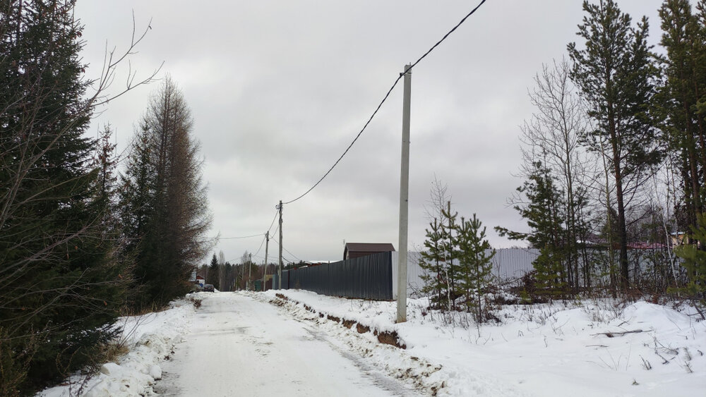 г. Березовский, СНТ №127 Дачник (городской округ Березовский) - фото сада (1)