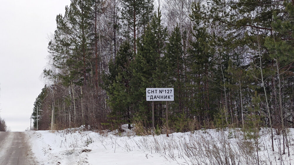 г. Березовский, СНТ №127 Дачник (городской округ Березовский) - фото сада (3)