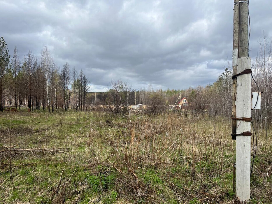 с. Мостовское (г.о. Вехняя Пышма), к/с Черемушка (городской округ Верхняя Пышма) - фото сада (8)