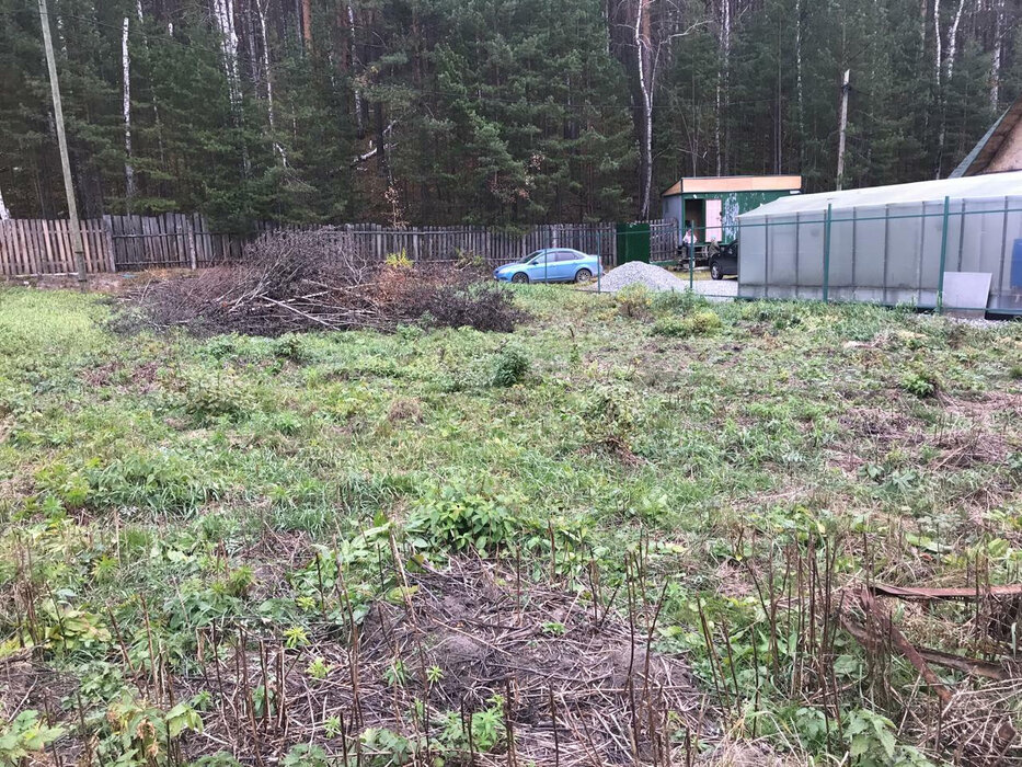 г. Сысерть, садовые участки Геолог (городской округ Сысертский) - фото сада (2)