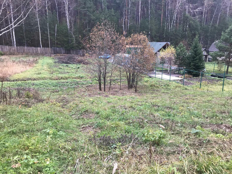 г. Сысерть, садовые участки Геолог (городской округ Сысертский) - фото сада (5)