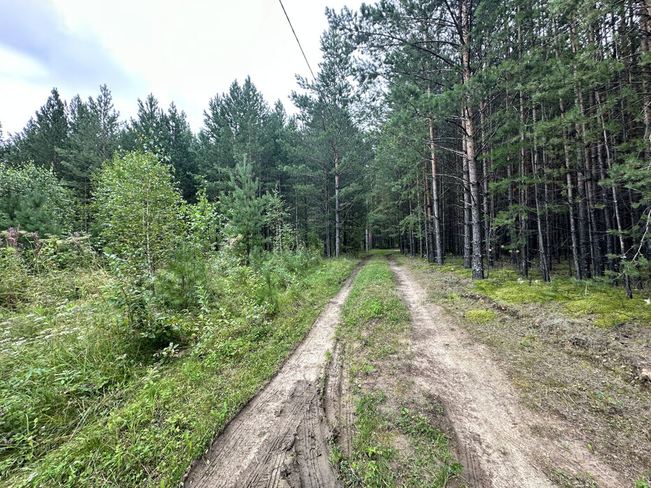 с. Кашино, КС Бытовик (городской округ Сысертский) - фото сада (1)