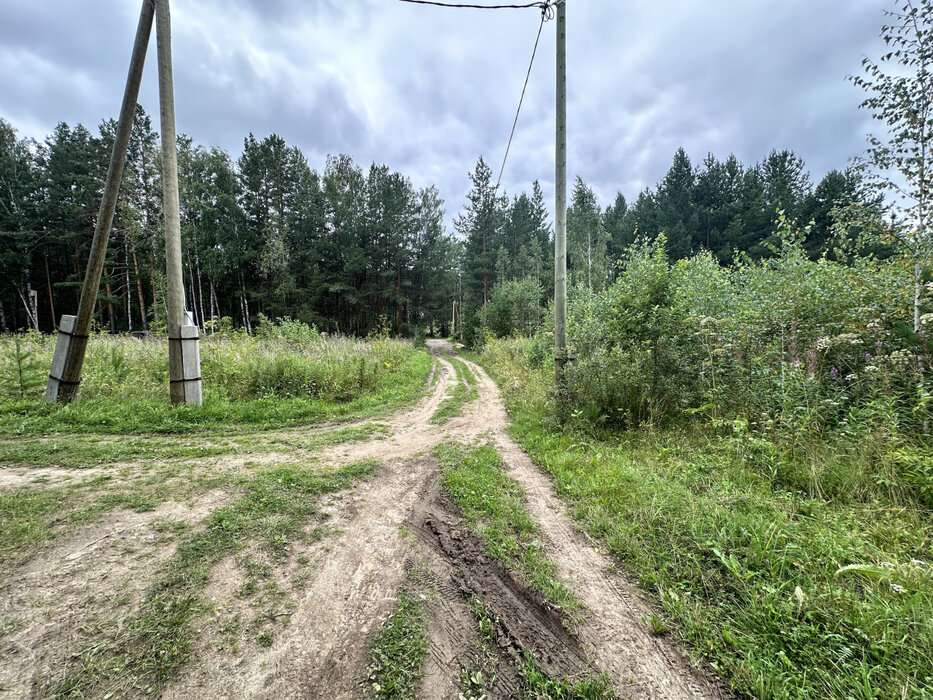 с. Кашино, КС Бытовик (городской округ Сысертский) - фото сада (2)