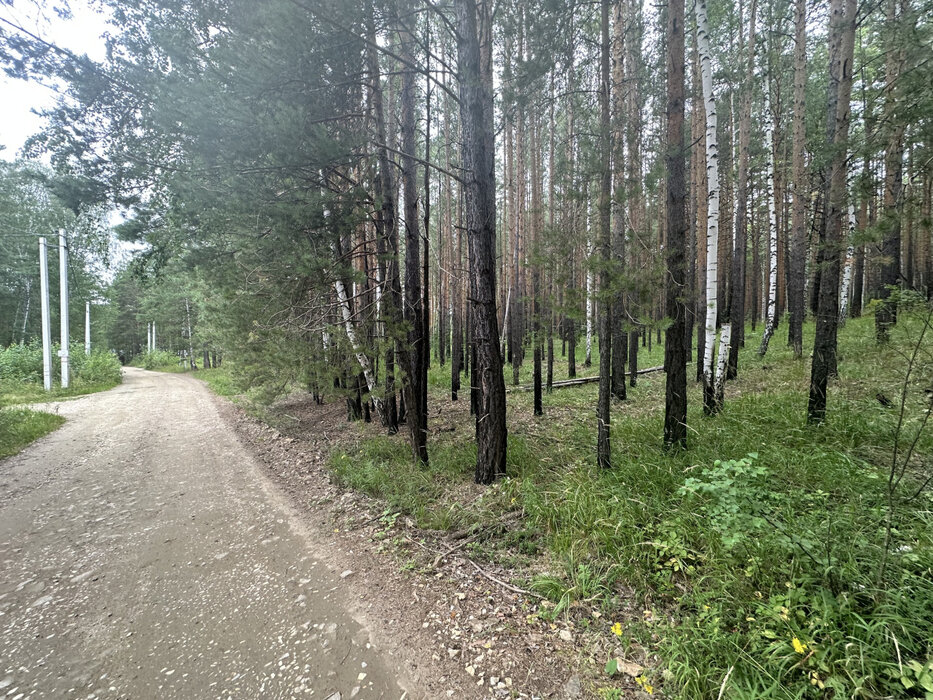 с. Кашино, КС Бытовик (городской округ Сысертский) - фото сада (6)