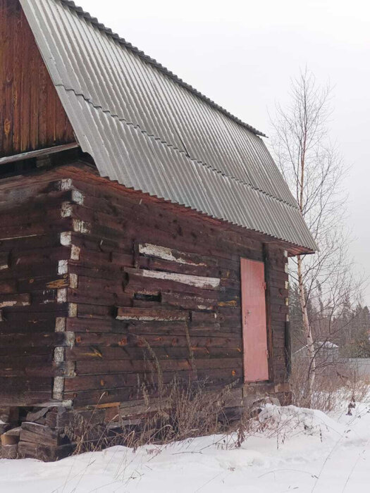 г. Первоуральск, СНТ  Солнечный (городской округ Первоуральск) - фото сада (2)