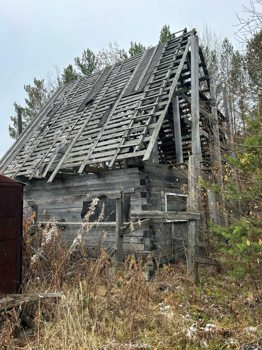 г. Верхняя Пышма, СНТ Еланцы-2 (городской округ Верхняя Пышма) - фото сада (2)