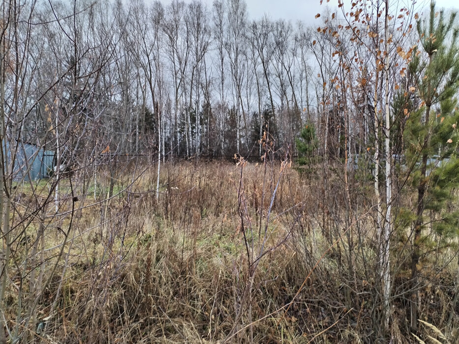 Екатеринбург, ул. Глубочинский (Кольцово) - фото земельного участка (6)