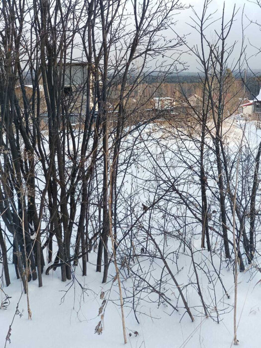 д. Елани, СНТ 85 (городской округ Новоуральский) - фото сада (1)