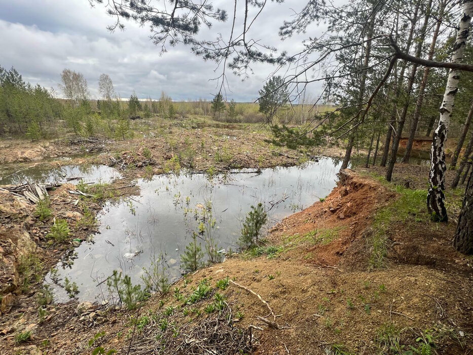 г. Березовский, СНТ Нива №89 (городской округ Березовский) - фото сада (6)