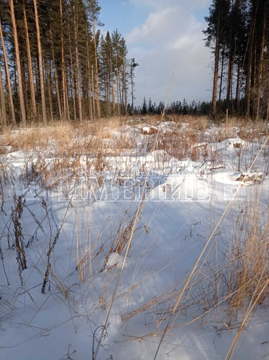 г. Ревда, ул. Облепиховая (городской округ Ревда) - фото земельного участка (1)